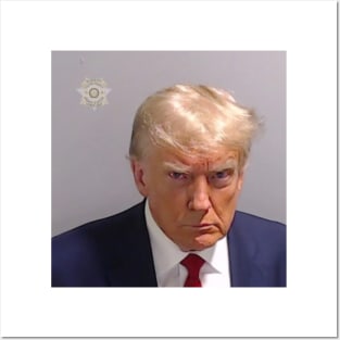 Donald Trump Mug Shot Posters and Art